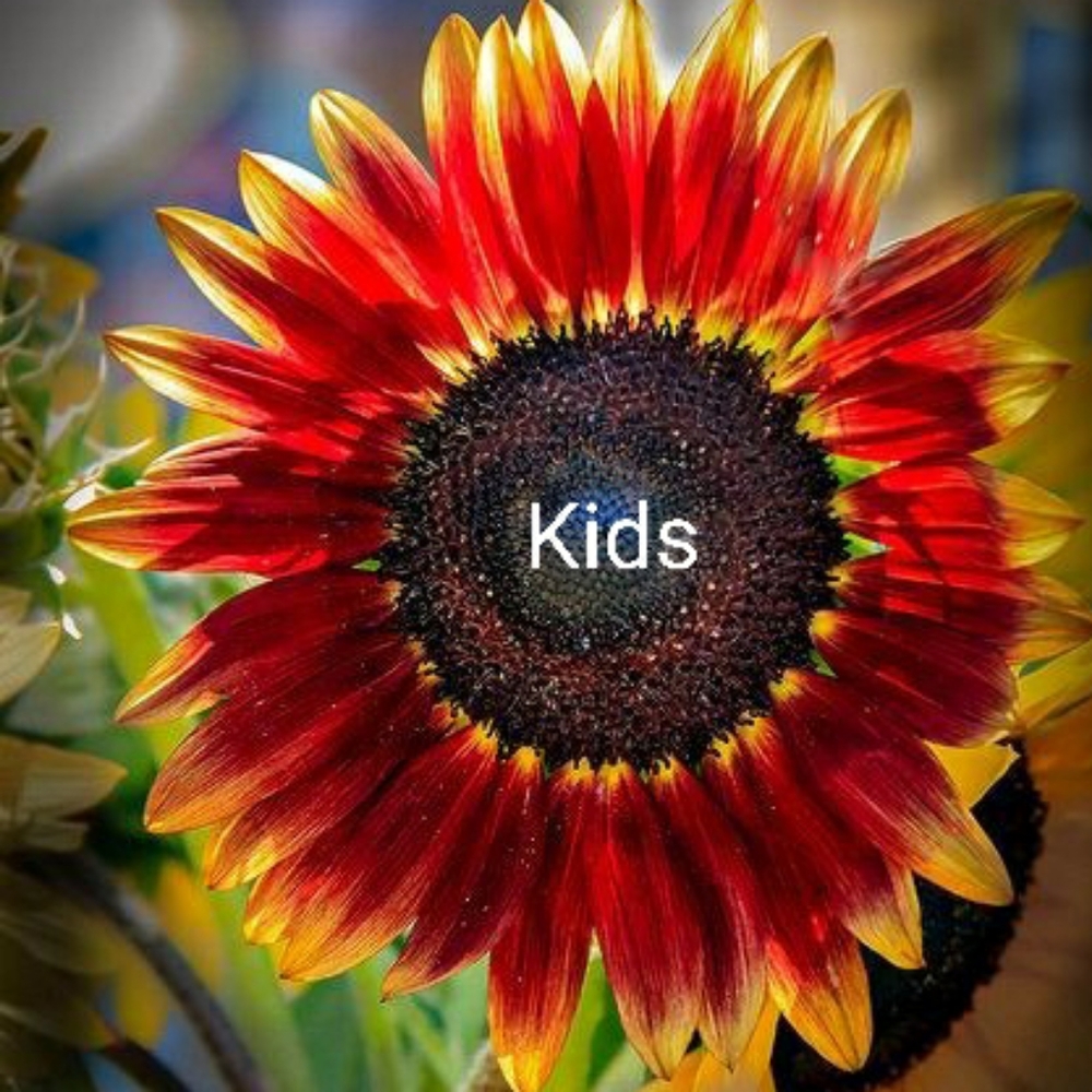 Kids - Picture 1 of 1